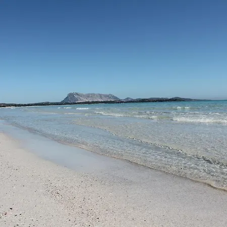 Fronte Spiaggia Via Dei Lidi